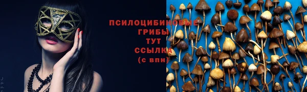 кокаин перу Бородино