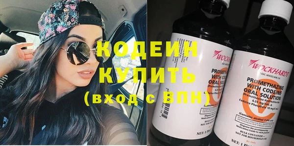 сатива Волоколамск
