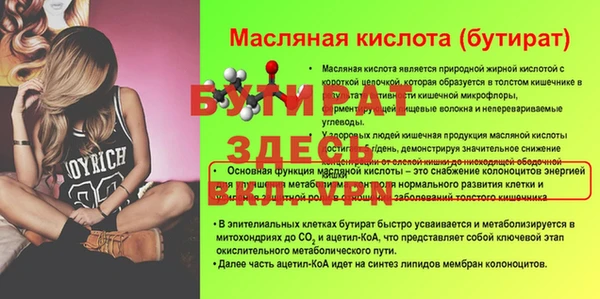 гашик Верея