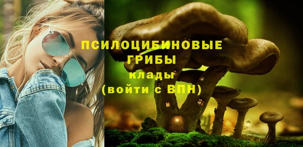 герыч Бугульма