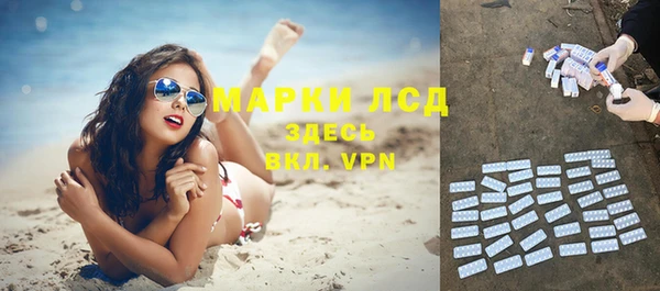 гашик Верея