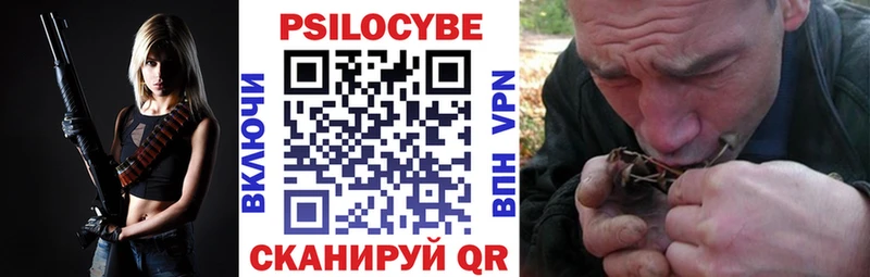 Галлюциногенные грибы мицелий где найти Вытегра